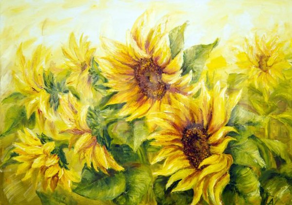 Sunflower Drawing Template