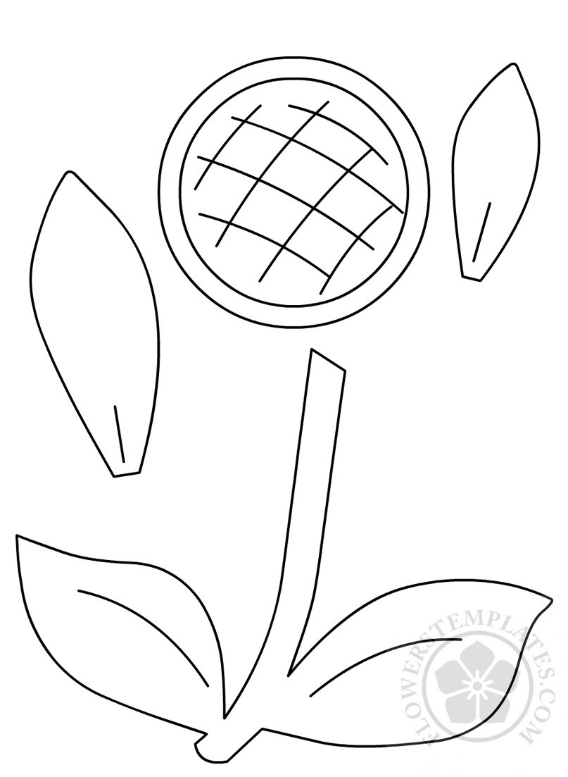 807x1103 Sunflower Flowers Templates - Sunflower Drawing Template