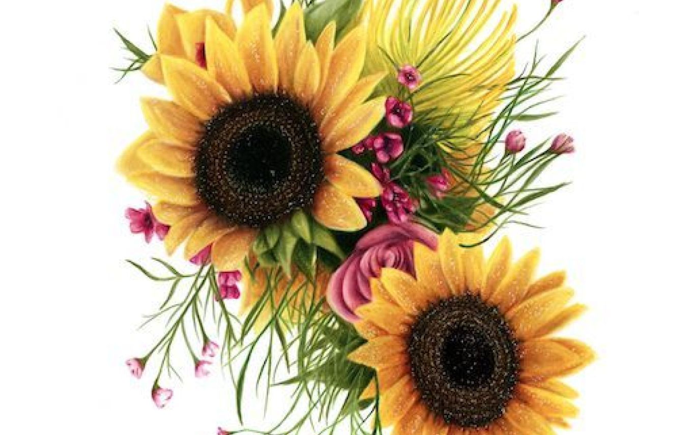 1368x855 Sunflower Drawing Template Gardening Flower And Vegetables - Sunflower Drawing Template