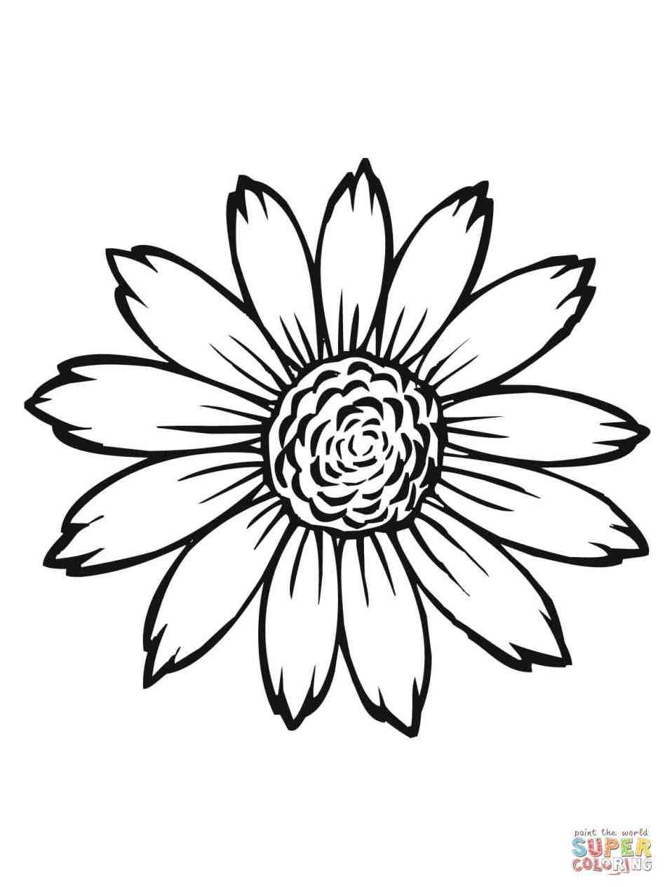 948x1264 sunflower drawing template sunflower drawing template - Sunflower Drawing Template