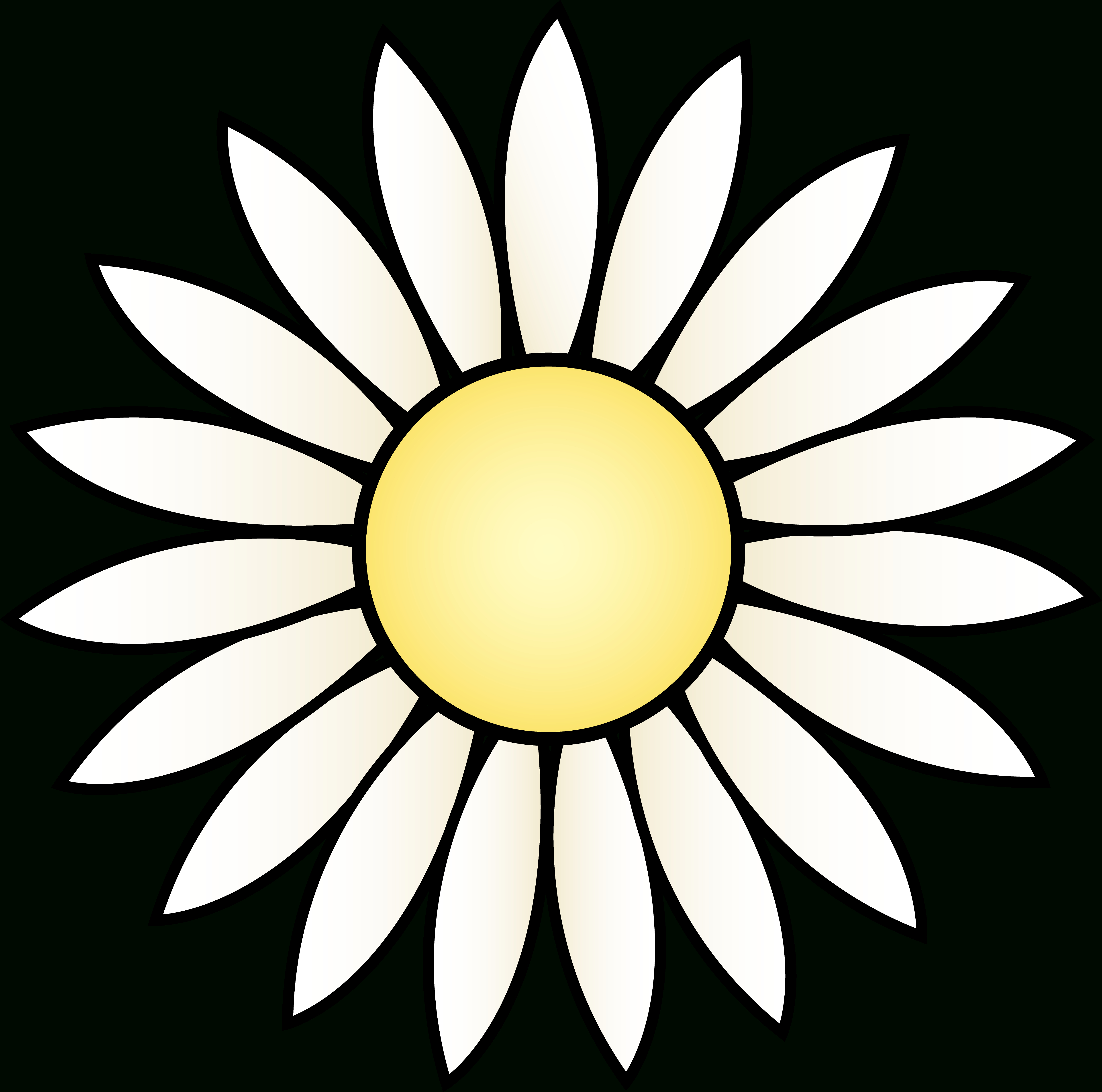 4948x4901 Sunflower Drawing Template White Daisy Flower Clip Art Depolama - Sunflower Drawing Template