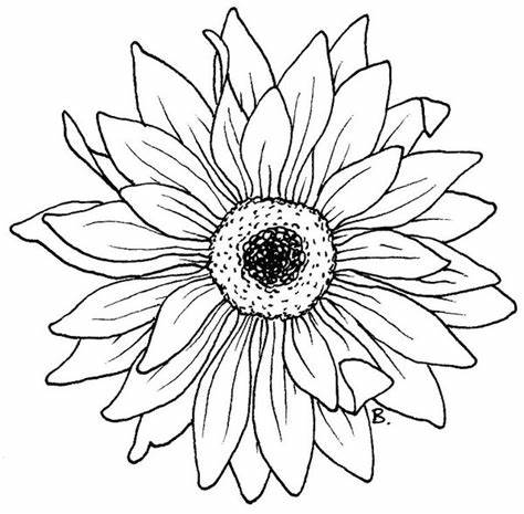 474x465 Sunflower Drawing Template Gtgt - Sunflower Drawing Template