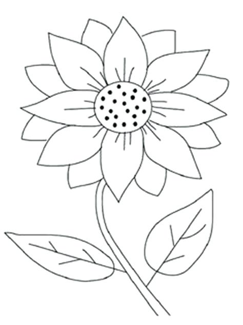 474x634 Sunflower Template To Cut Out Drawing At Free For Personal Leather - Sunflower Drawing Template