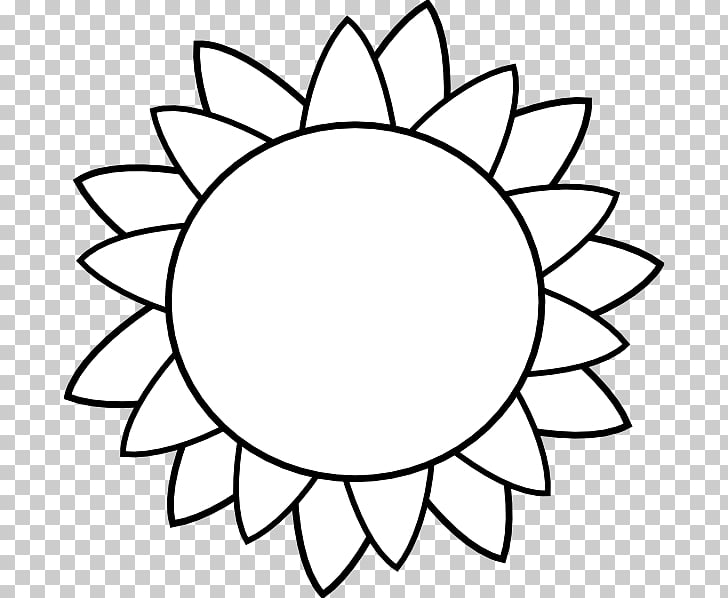 728x598 common sunflower template drawing sunflower leaf, white - Sunflower Drawing Template