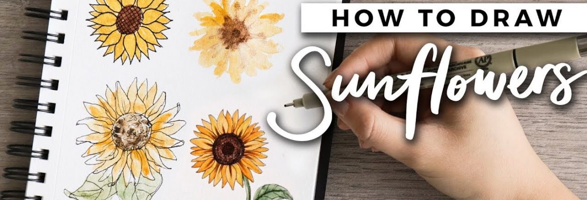 1170x400 how to draw sunflowers! doodle with me + tutorial! drawing - Sunflower Drawing Tutorial