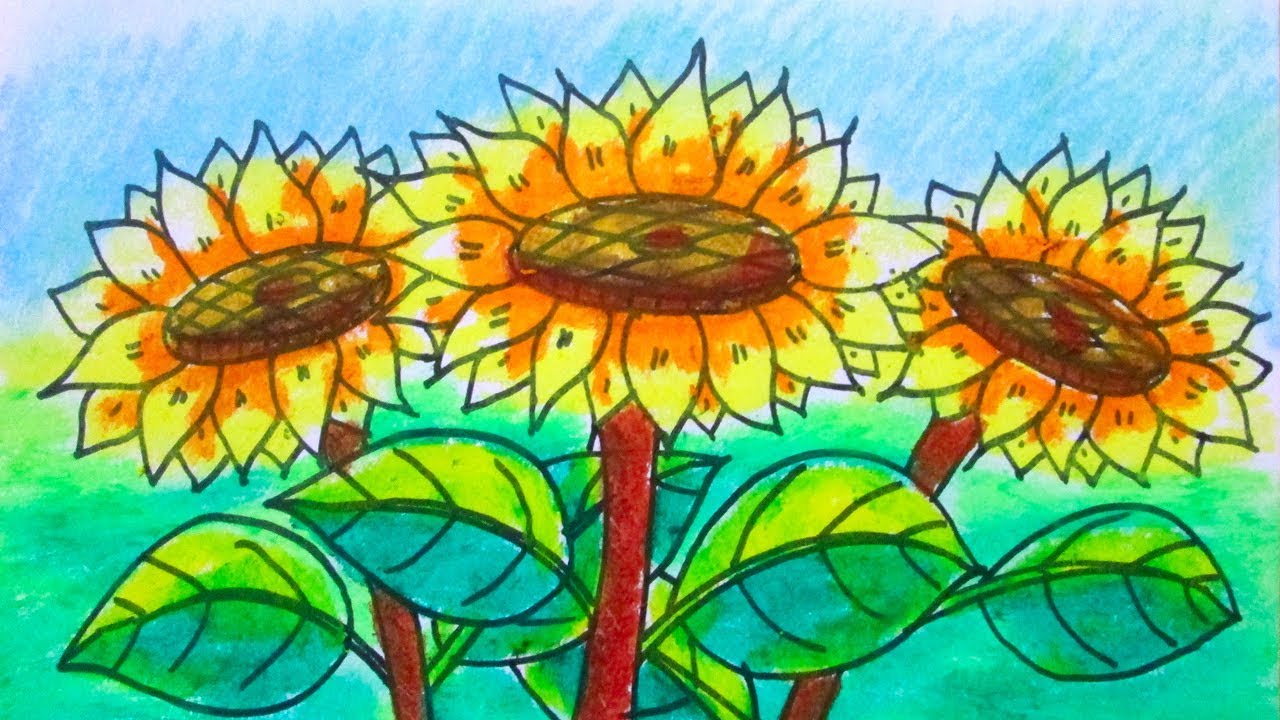 1280x720 How To Draw A Scenery Of Sunflower Flower Garden Kids Drawing - Sunflower Drawing Tutorial