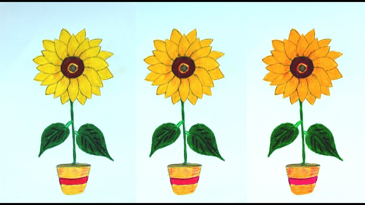 1280x720 How To Draw A Sunflower Easy Step - Sunflower Drawing Tutorial