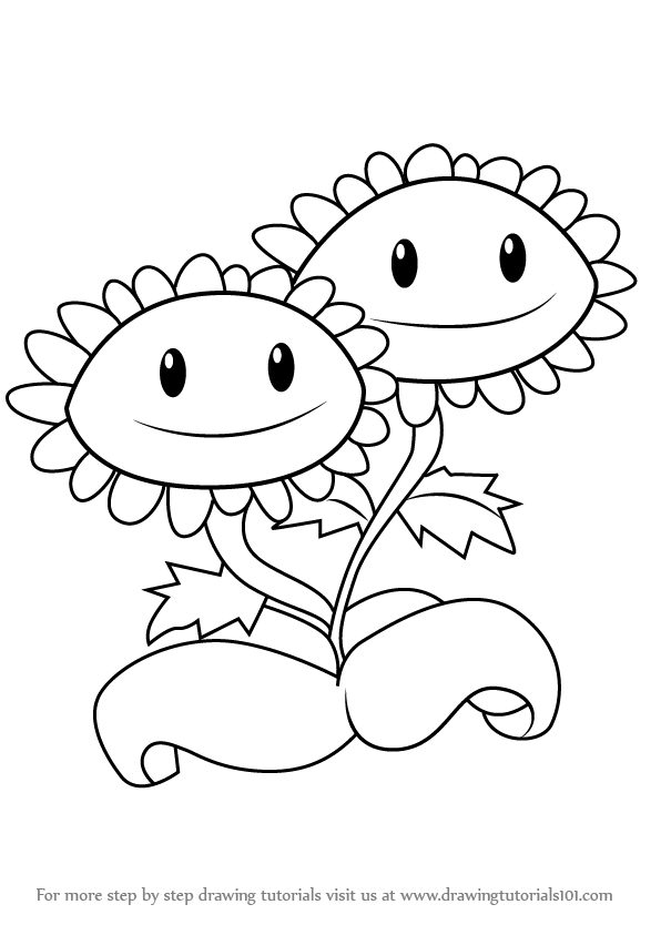 596x843 learn how to draw twin sunflower from plants vs zombies - Sunflower Drawing Tutorial