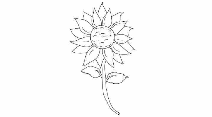 720x400 Learn How To Draw A Sunflower Using This Easy Step - Sunflower Drawing Tutorial