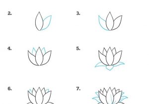 300x210 steps to draw a sunflower drawing a sunflower sunflowers - Sunflower Drawing Tutorial