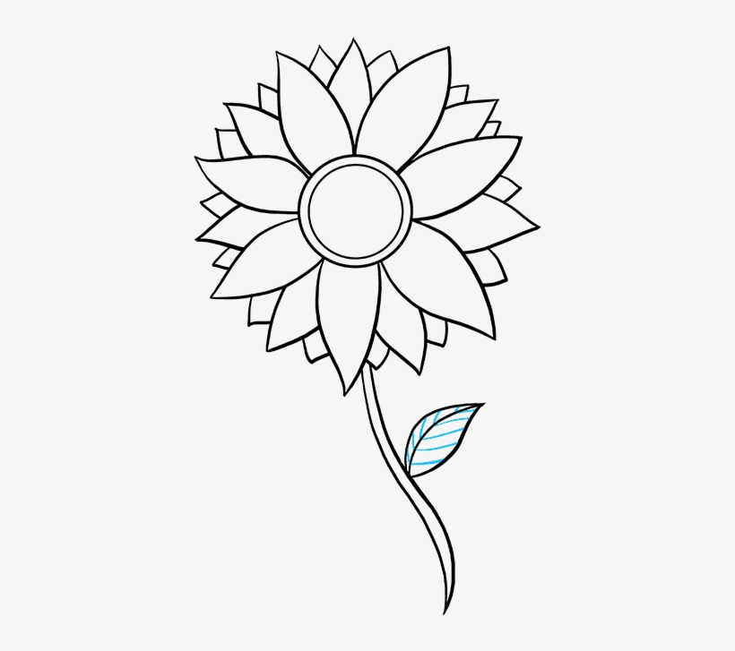 820x727 Sunflower Drawing Easy Step - Sunflower Drawing Tutorial