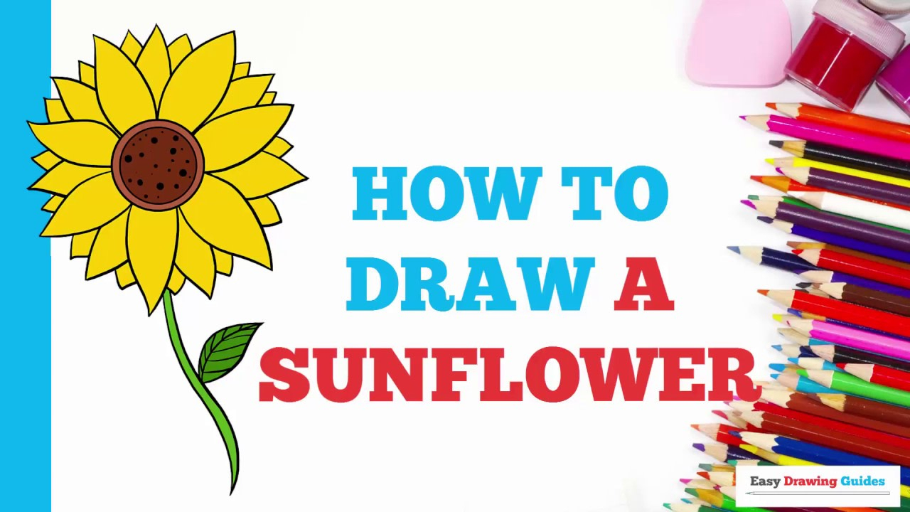 1280x720 Sunflower Drawing Easy And How To Draw A Sunflower - Sunflower Drawing Tutorial