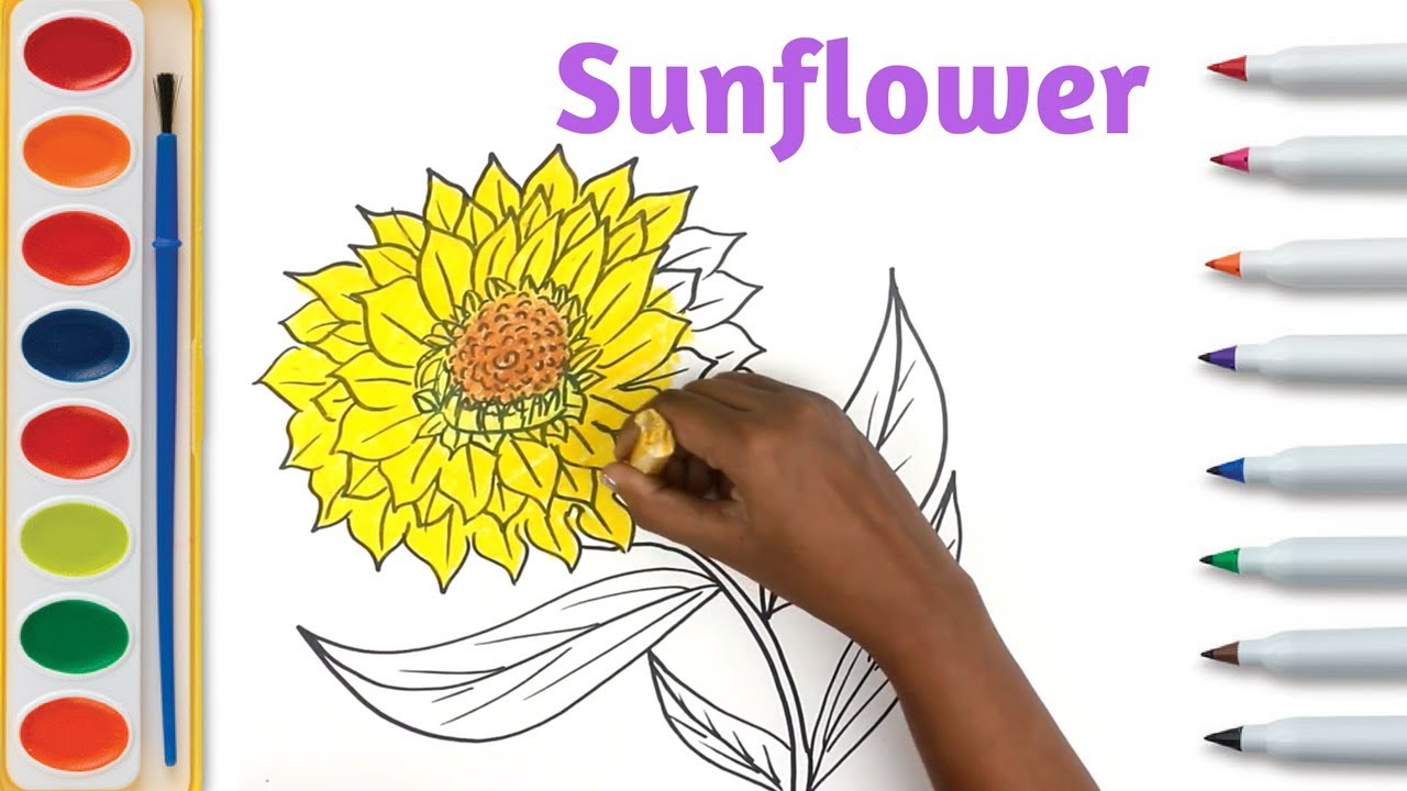 1280x720 Sunflower Drawing Tutorial Sketching Flower On Paper - Sunflower Drawing Tutorial