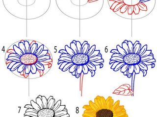 320x240 Sunflower Drawing Simple Sunflower Drawing Tutorial How To Art - Sunflower Drawing Tutorial