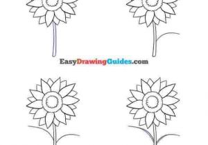 300x210 Free Download On Mbtskoudsalgrhmbtskoudsalgcom How To Draw - Sunflower Drawing Tutorial