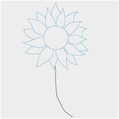400x400 Flower Pencil Drawing Tutorial Marvelous How To Draw A Sunflower - Sunflower Drawing Tutorial