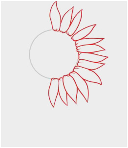 262x302 Flower Sketch Tutorial Elegant How To Draw A Sunflower Step - Sunflower Drawing Tutorial