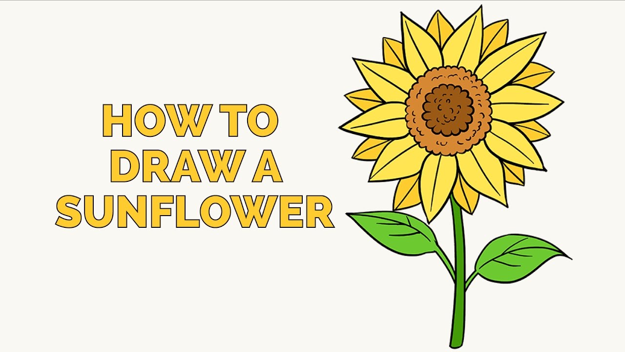 1280x720 How To Draw A Sunflower - Sunflower Images For Drawing