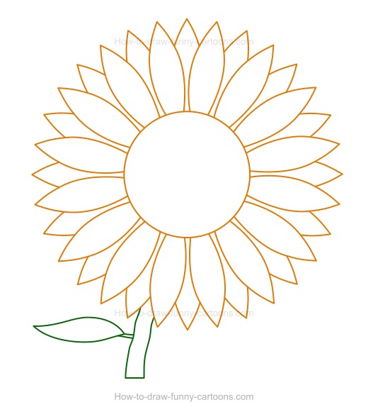 520x581 How To Draw A Sunflower - Sunflower Images For Drawing