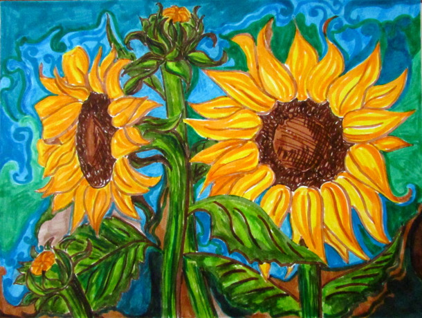 610x460 How To Draw Sunflowers - Sunflower Images For Drawing