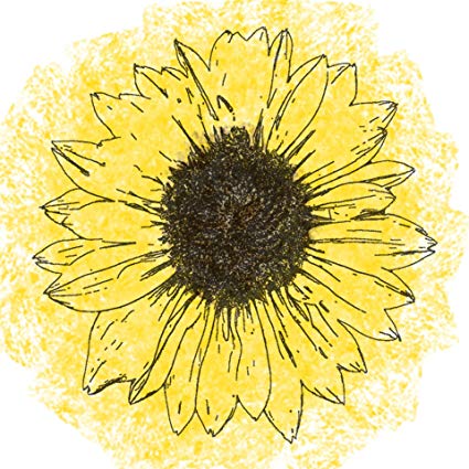 425x425 home comforts laminated poster sunflower line drawing - Sunflower Line Drawing