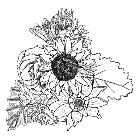 450x450 Sunflower Line Drawing - Sunflower Line Drawing