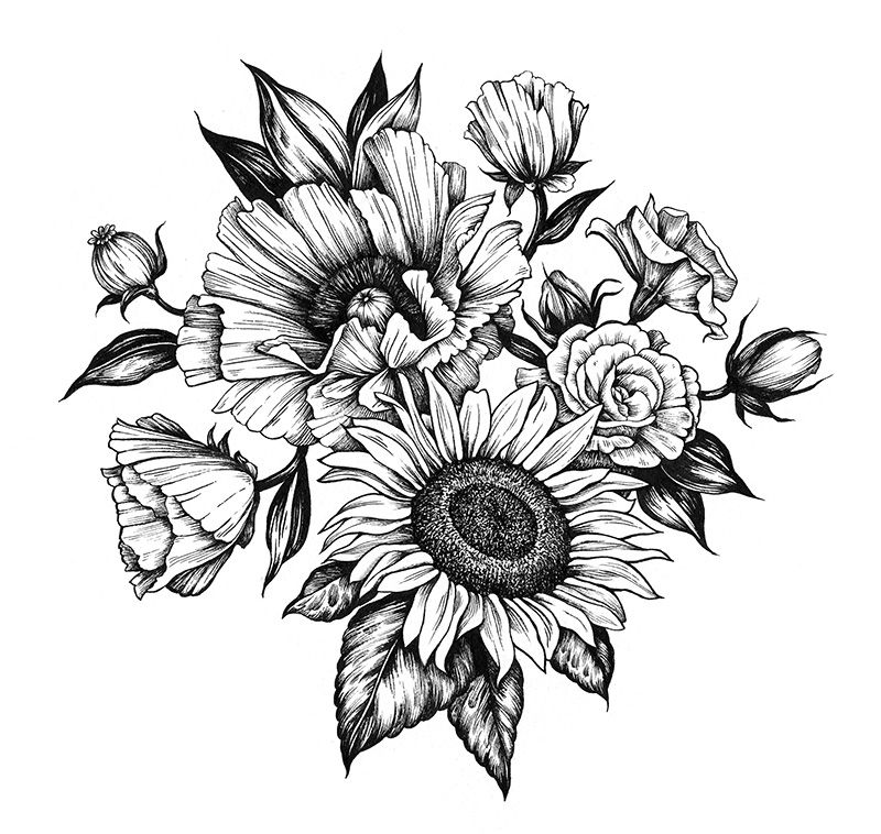 Sunflower Outline Drawing at PaintingValley.com | Explore collection of