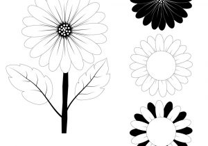 300x210 Sunflower Images For Drawing Sunflower Outline Drawing - Sunflower Outline Drawing