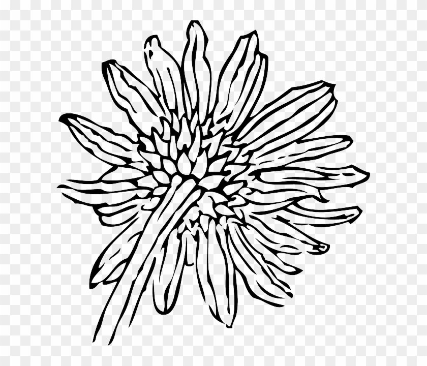 840x720 Sunflower Line Art Images - Sunflower Outline Drawing