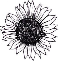 236x243 Sunflower Tattoo - Sunflower Outline Drawing