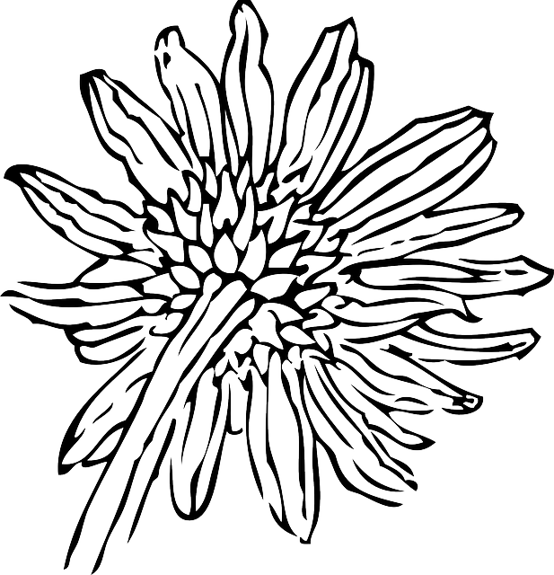 617x640 Drawing Sunflower Flower Huge Freebie! Download For Powerpoint - Sunflower Outline Drawing