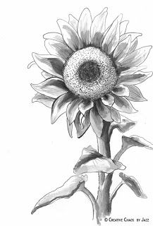 217x320 Best Drawing - Sunflower Pencil Drawing