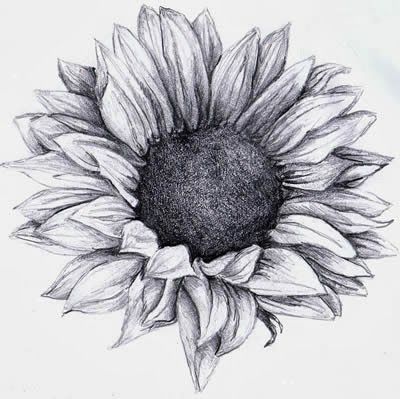 400x399 Black And White Sunflower Tattoo Designs Sunflower Tattoos - Sunflower Tattoo Drawing