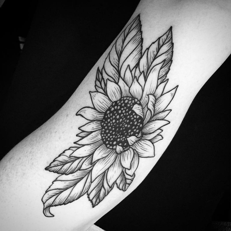 800x800 warm sunflower tattoo designs - Sunflower Tattoo Drawing
