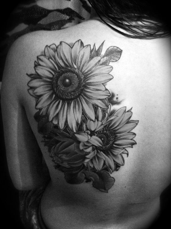 553x741 Amazing Sunflower Tattoo Ideas - Sunflower Tattoo Drawing