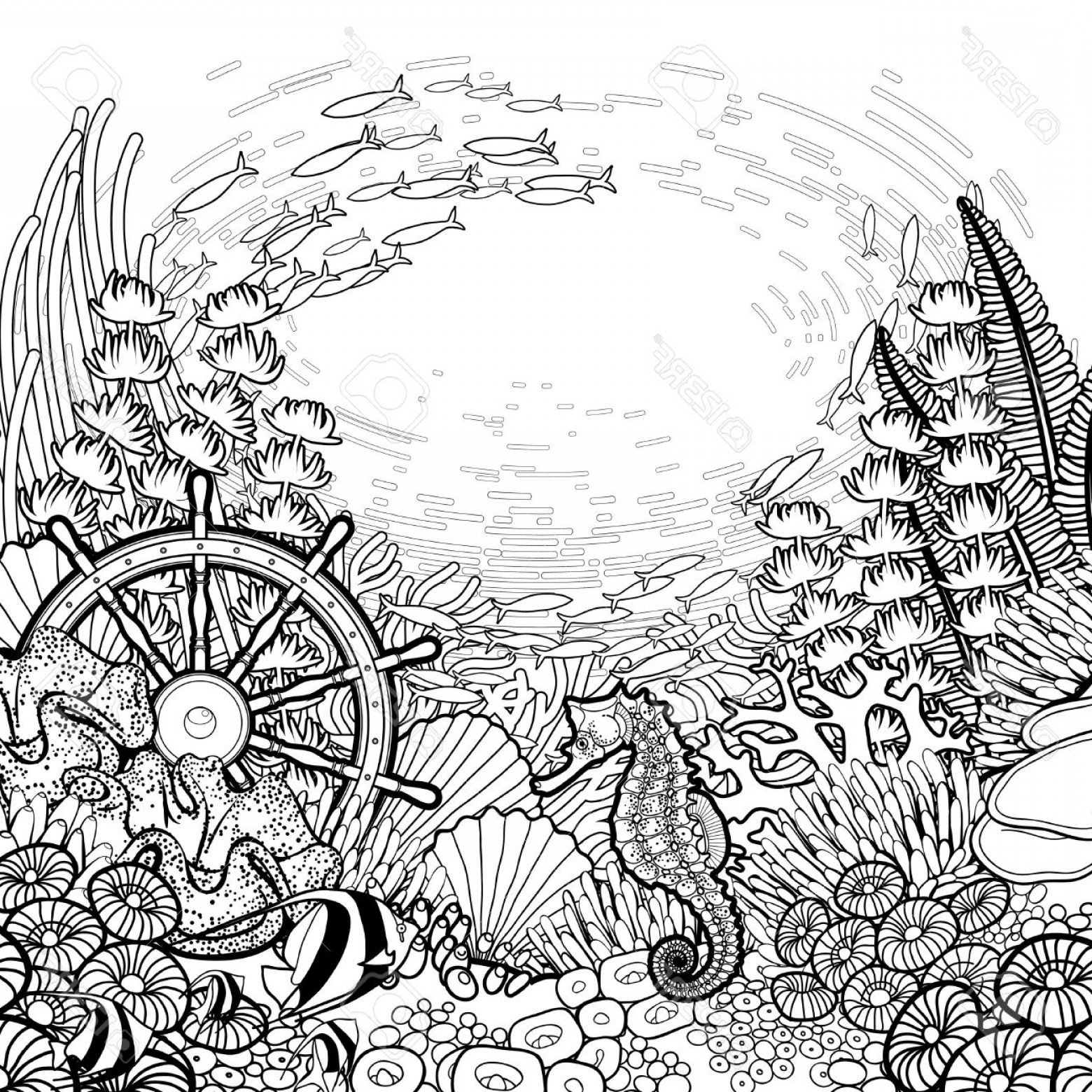 1560x1560 photostock vector graphic coral reef with sea horse ocean fish - Sunken Ship Drawing