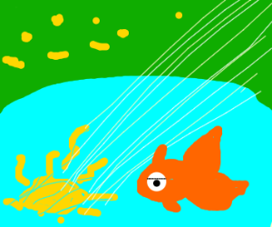 300x250 goldfish in pond on a sunny day drawing - Sunny Day Drawing