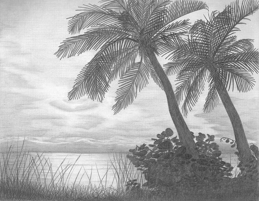 900x700 Sunrise In South Florida Drawing - Sunrise Drawing
