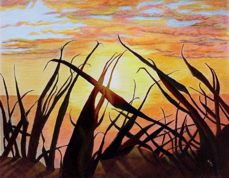 770x600 Dune Grasses - Sunrise Drawing Images