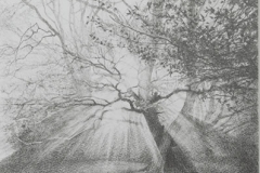 240x160 The Gallery - Sunrise Pencil Drawing