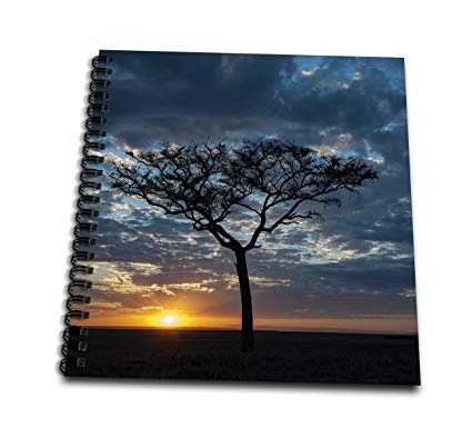 425x386 Danita Delimont - Sunrise Pictures Drawing