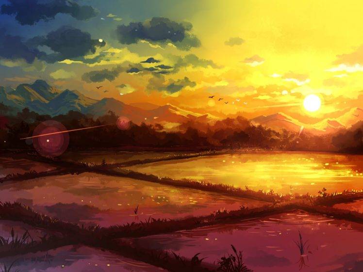 748x561 drawing, rice paddy, sunrise wallpapers hd desktop and mobile - Sunrise Pictures Drawing