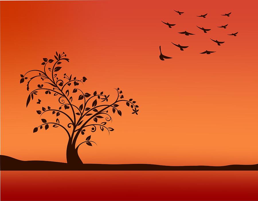 900x703 Tree In Sunset Drawing - Sunset Drawing