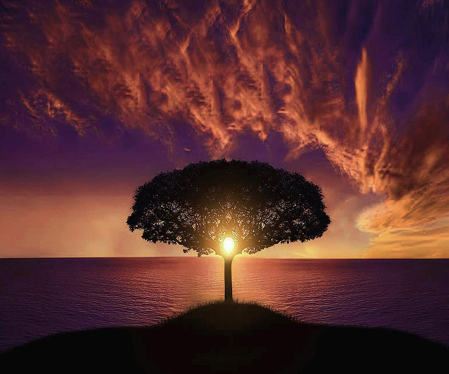 900x750 Tree Sunset Drawing - Sunset Drawing Images