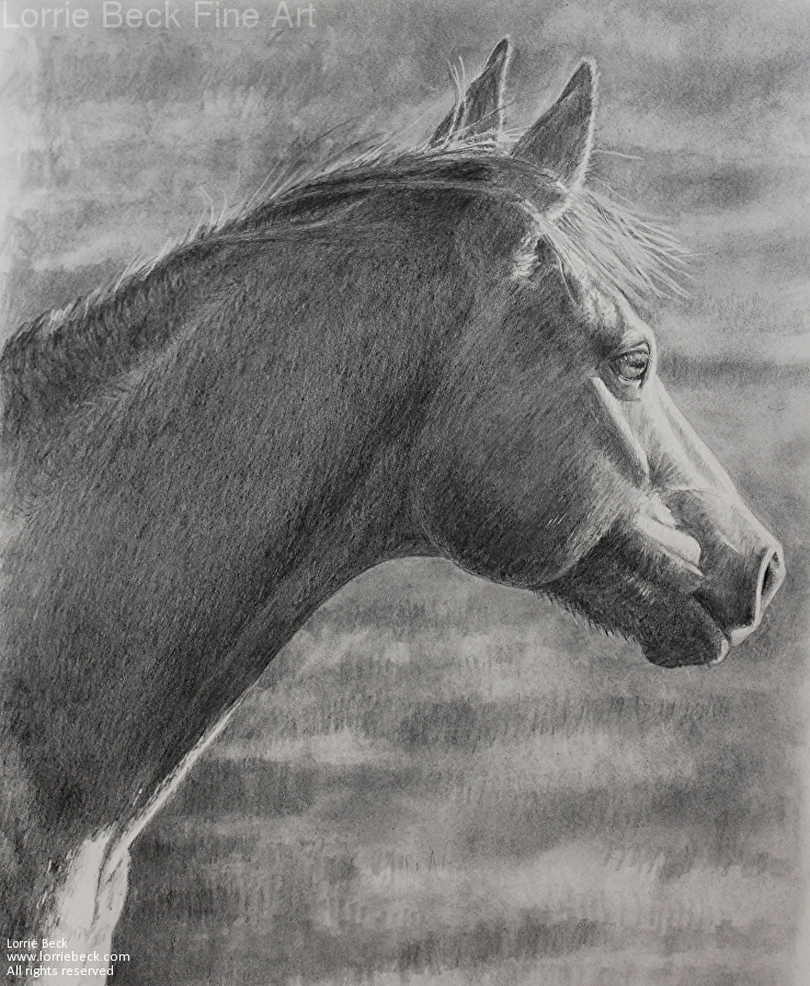 739x900 lorrie beck - Sunset Drawings In Pencil
