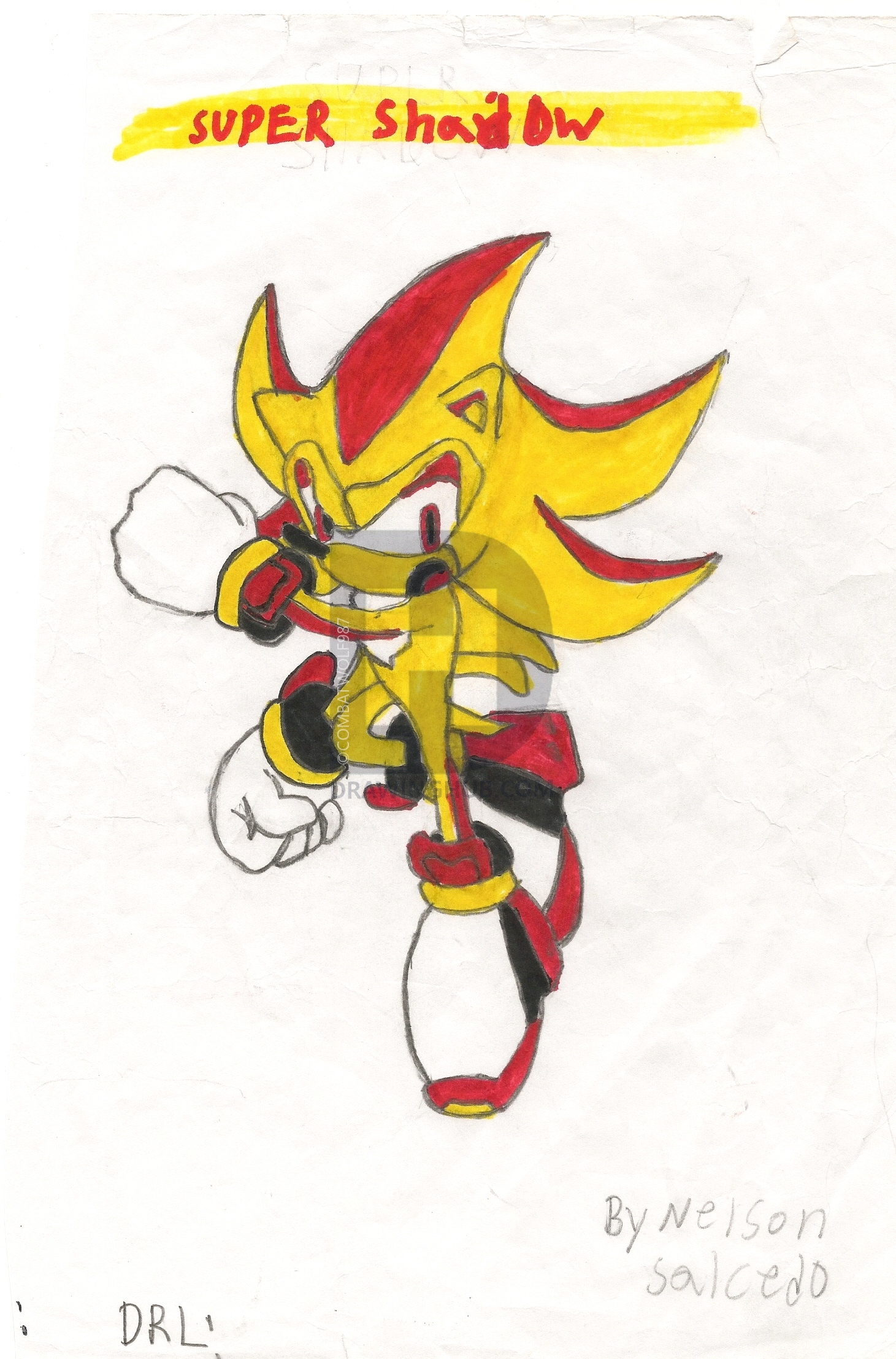 1461x2213 Super Shadow Drawing - Super Shadow Drawing