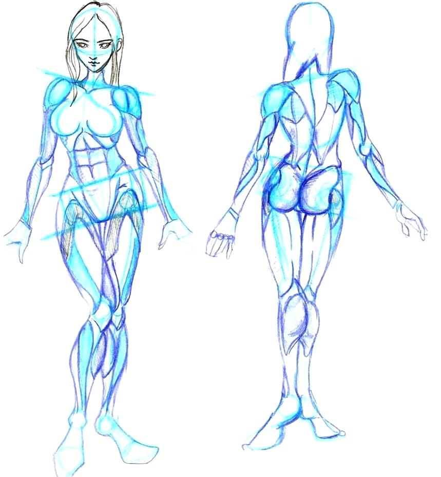 859x929 template male drawing template drawn templates human superhero - Superhero Drawing Template