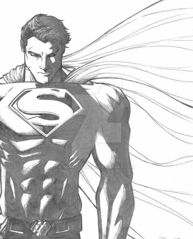 640x792 Superman Drawing Free Download - Superman Drawing