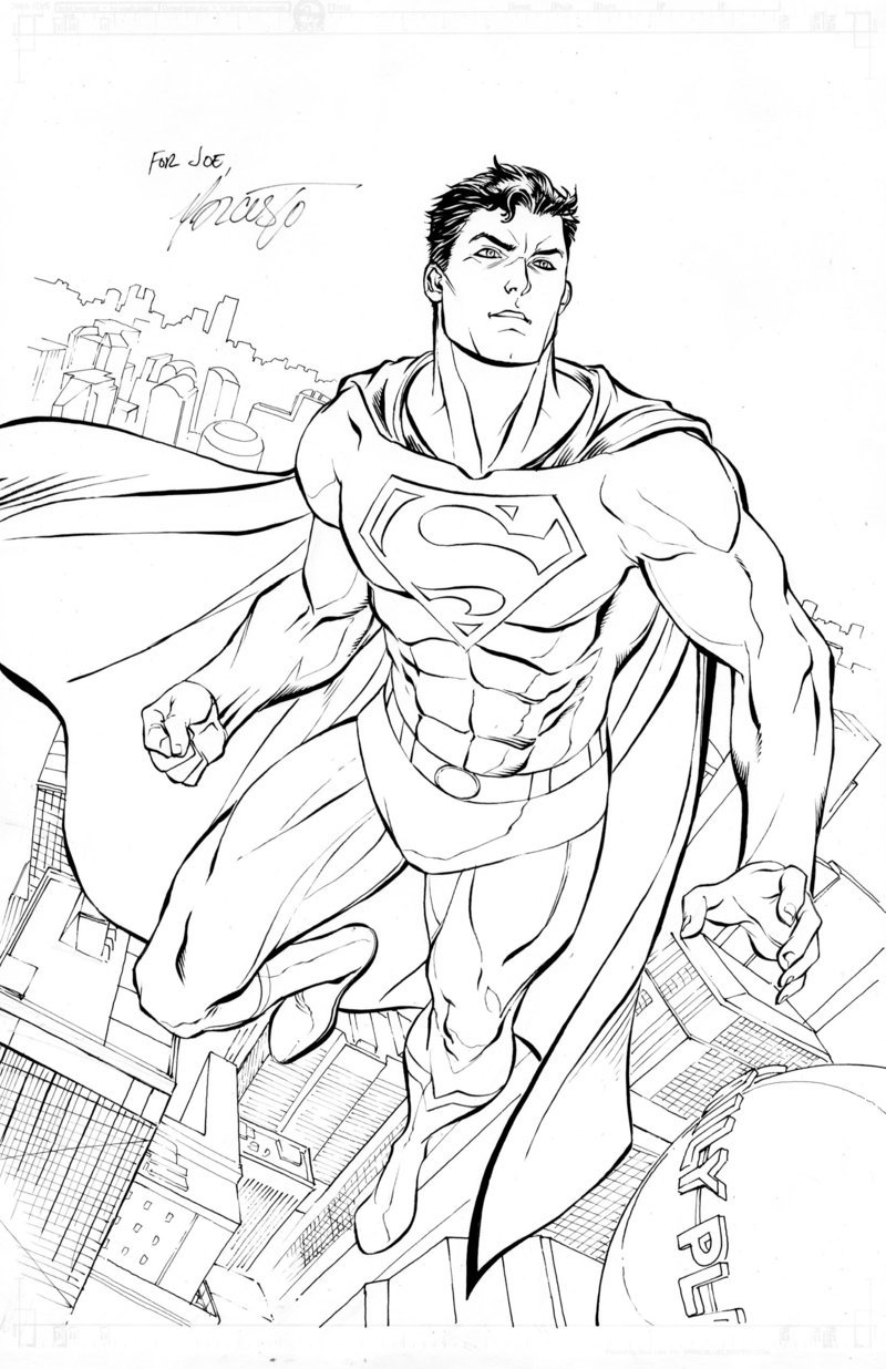 800x1236 Superman Realistic Drawing Drawing Skill - Superman Drawing Pictures
