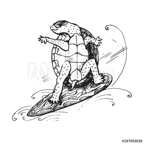 500x500 cartoon character of turtle in glasses on surfboard on wave, hand - Surfboard Cartoon Drawing